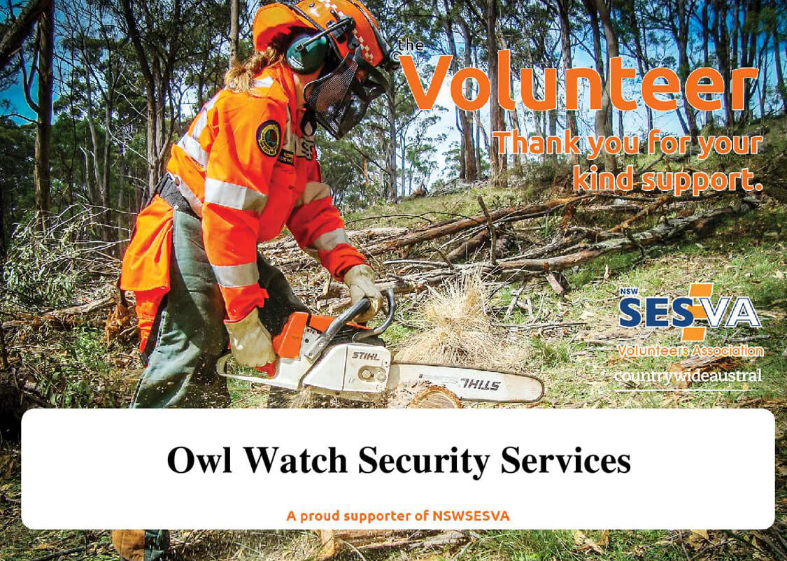 Owl Watch security services